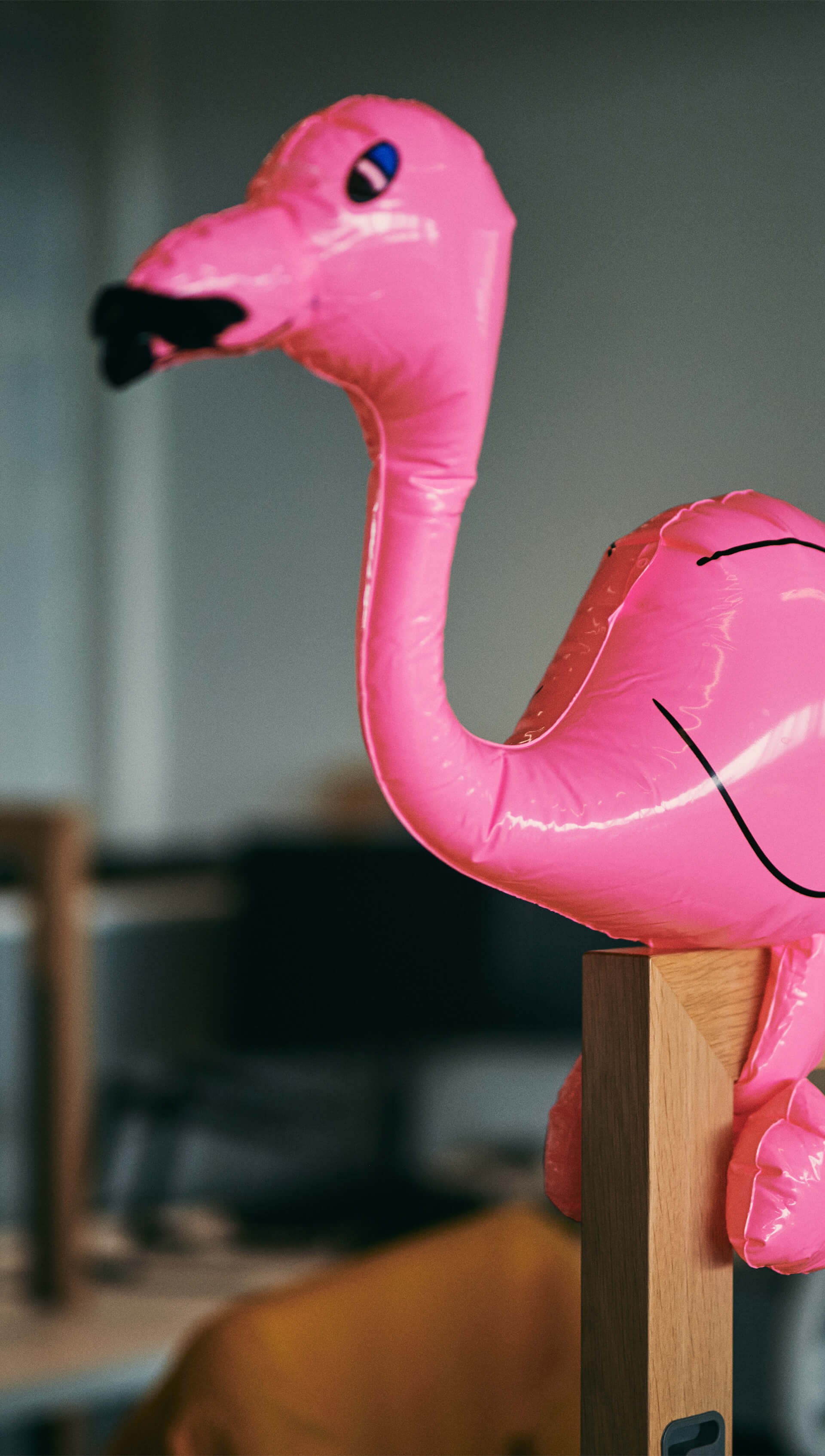 Flamingo