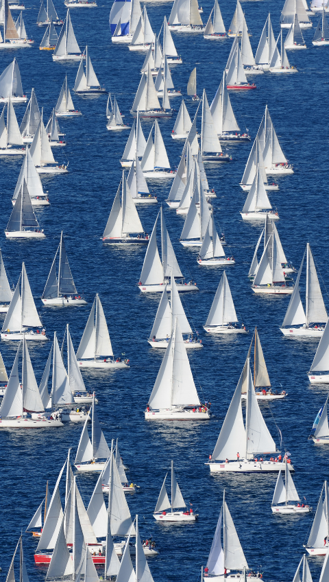 North Sea Regatta